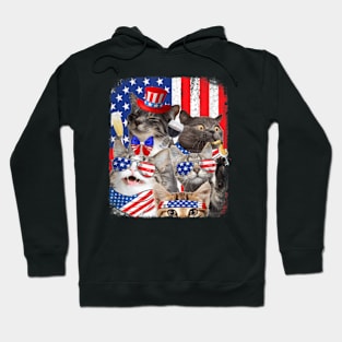 Funny Cat Patriotic USA Cat Lovers Cat Happy 4th July Hoodie